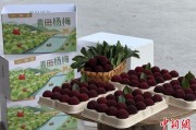 农历大全高速赋能产业升级：一条“杨梅路”的致富密码