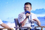 农历大全蜂巢汽车武红超预测：未来五年中国新能源车渗透率将突破70%