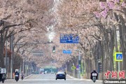 农历大全共建“花园城市” 北京这场议政会“百花齐放”